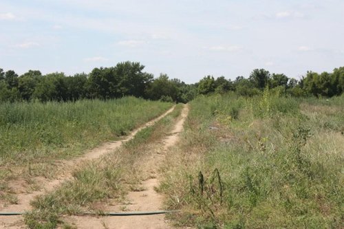 Property photo 4 - 78 Acres offered in 1 tract